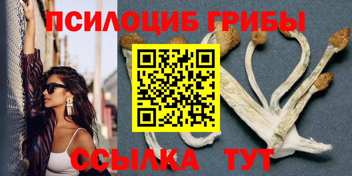 Псилоцибиновые грибы ЛСД  Галлюциногенные грибы мухоморы  Бердск  цены   Вход с VPN 