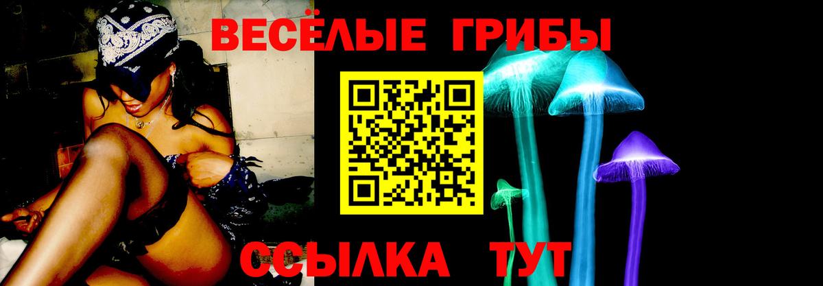 Псилоцибиновые грибы Psilocybine cubensis Бердск